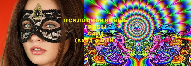 Псилоцибиновые грибы MAGIC MUSHROOMS  как найти закладки  Тюкалинск 