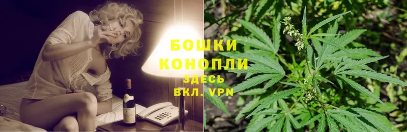 площадка состав  Тюкалинск  Шишки марихуана Ganja 